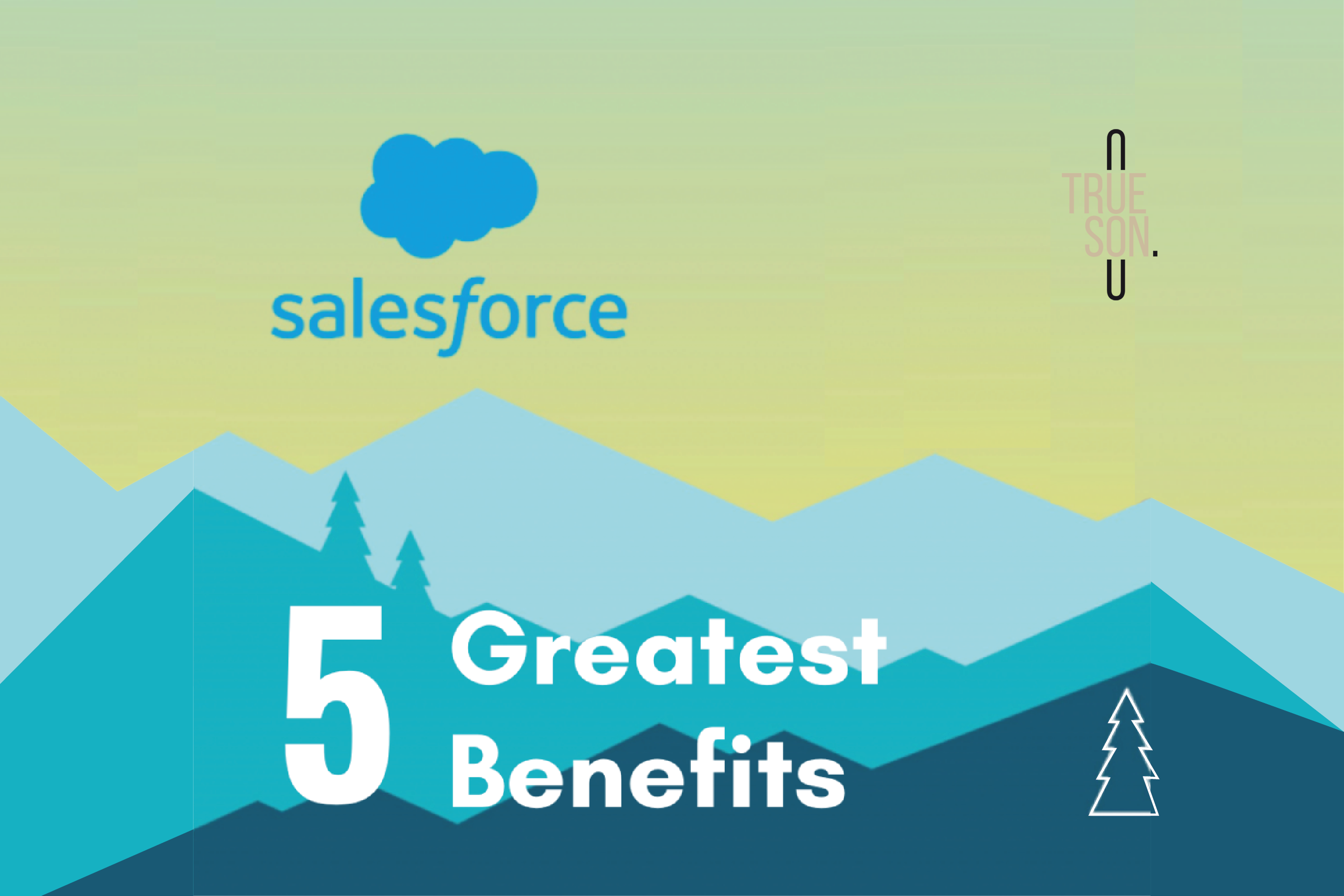 Salesforce CRM: 5 Greatest Benefits | Trueson