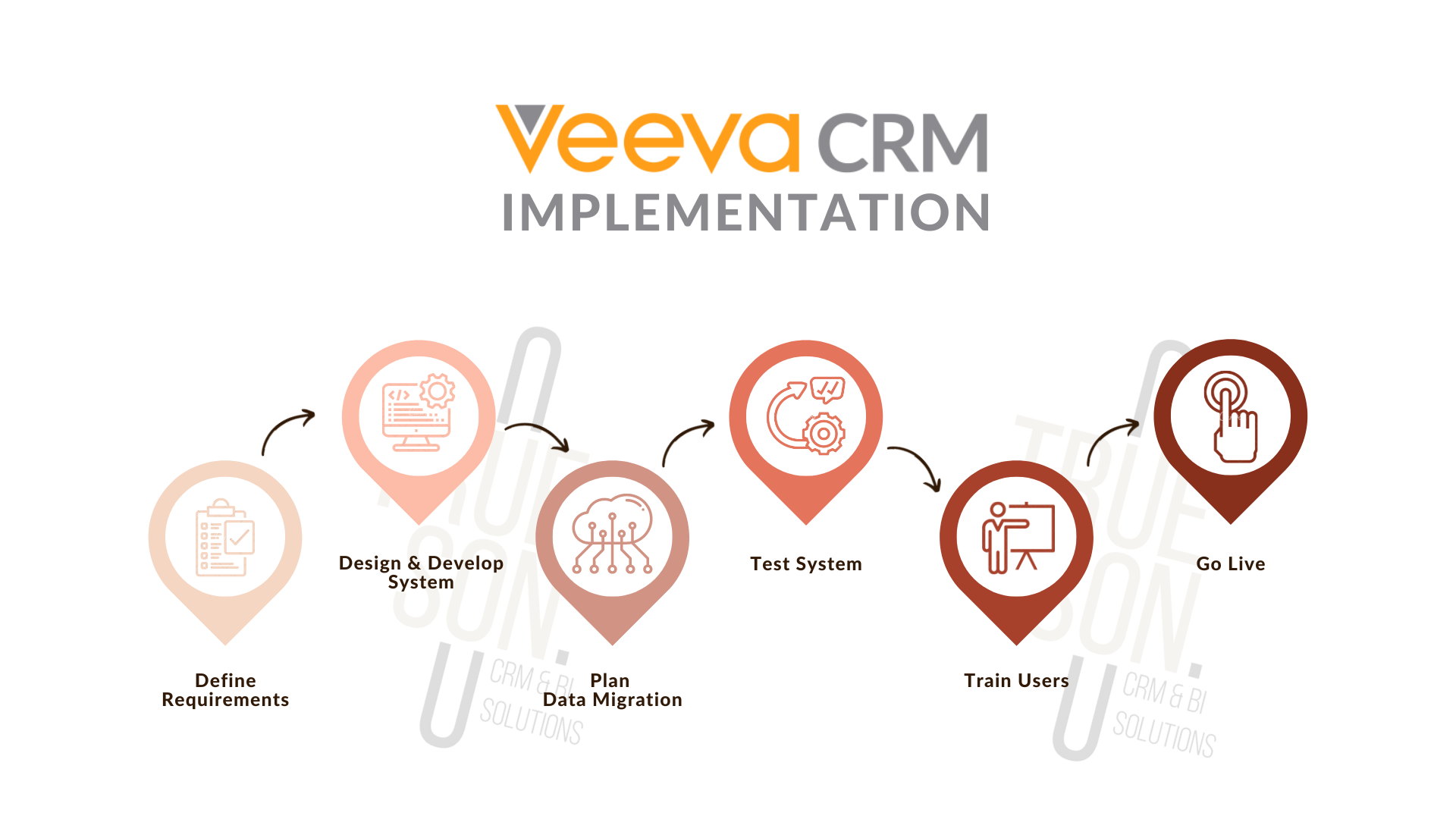 Veeva CRM Implementation Process by Trueson
