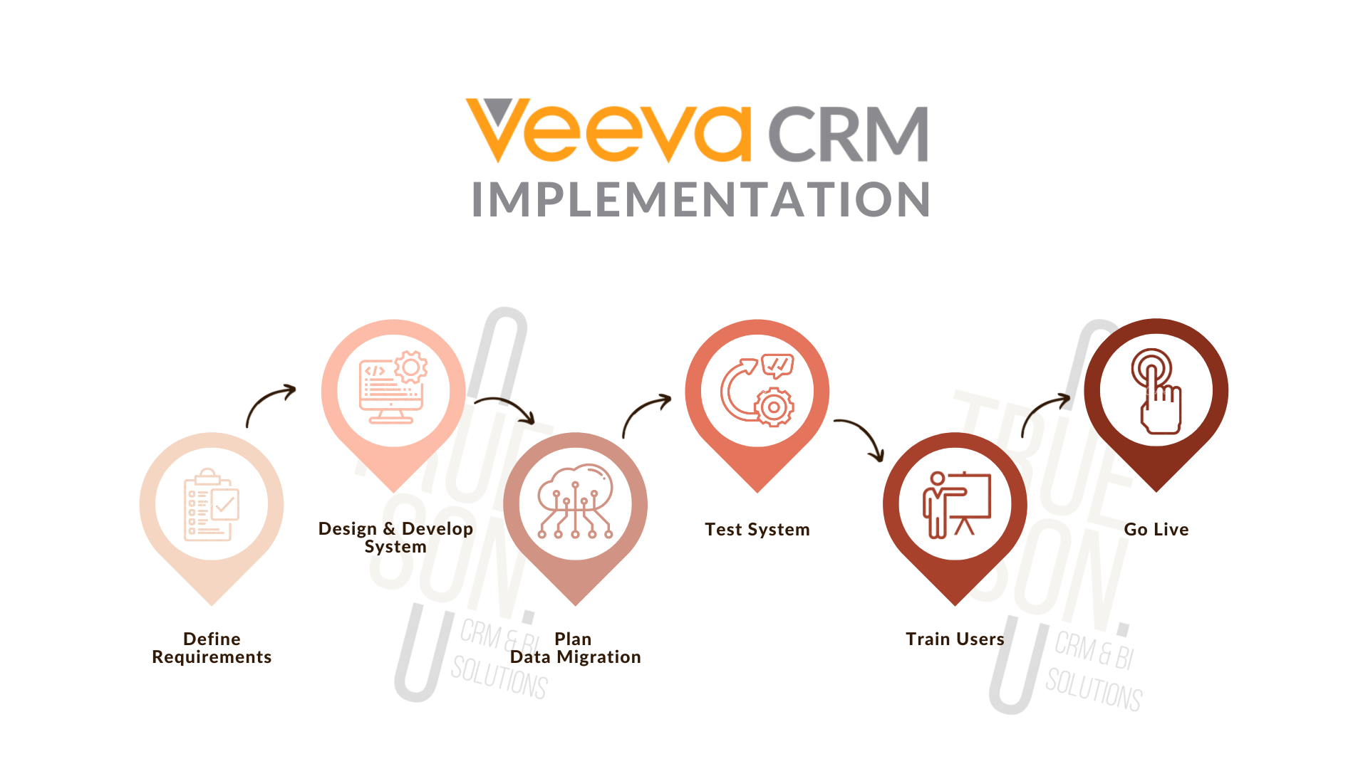 veeva crm case study