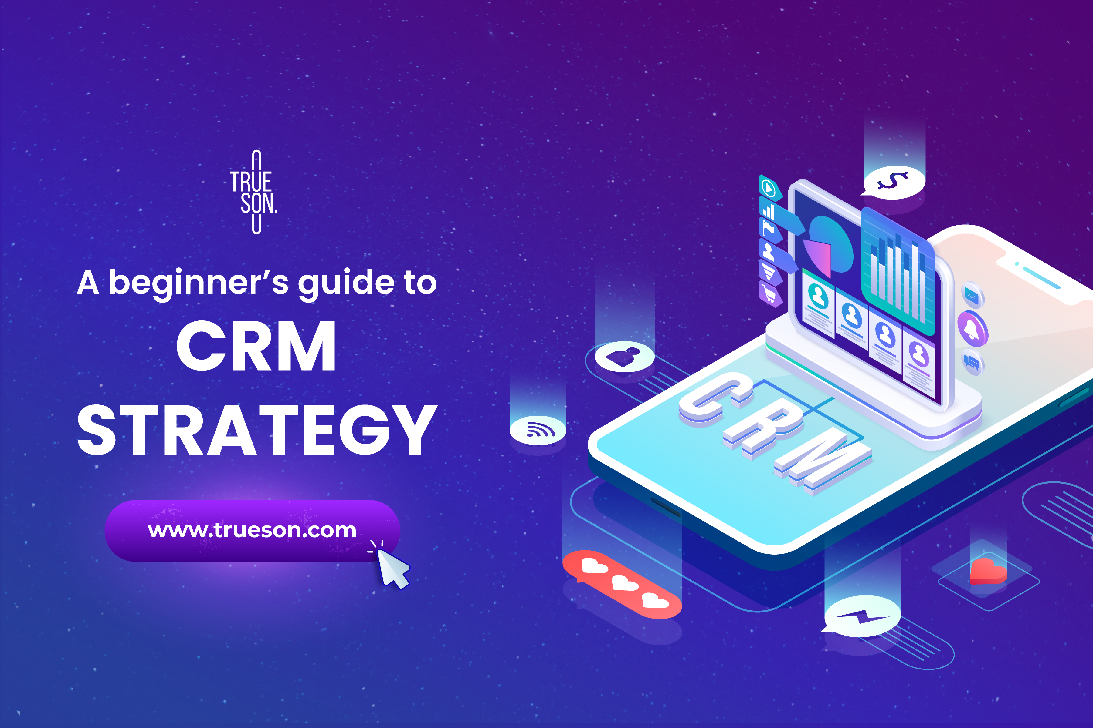 CRM Strategy with Trueson